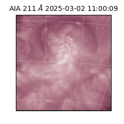 saia - 2025-03-02T11:00:09.632000