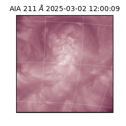 saia - 2025-03-02T12:00:09.632000