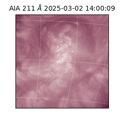 saia - 2025-03-02T14:00:09.633000