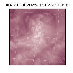 saia - 2025-03-02T23:00:09.615000