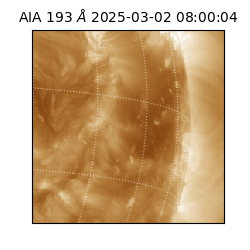 saia - 2025-03-02T08:00:04.843000