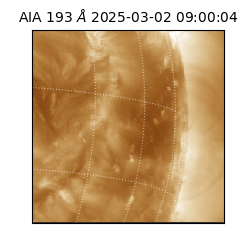 saia - 2025-03-02T09:00:04.843000