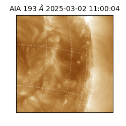 saia - 2025-03-02T11:00:04.843000