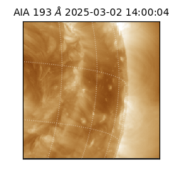 saia - 2025-03-02T14:00:04.843000