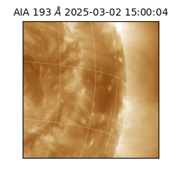 saia - 2025-03-02T15:00:04.843000