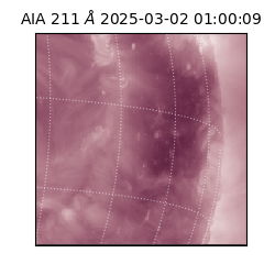 saia - 2025-03-02T01:00:09.626000