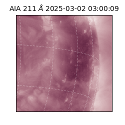 saia - 2025-03-02T03:00:09.630000