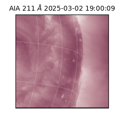 saia - 2025-03-02T19:00:09.633000