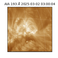 saia - 2025-03-02T03:00:04.843000