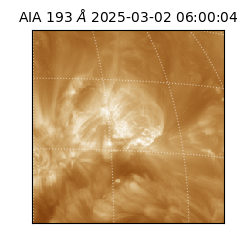 saia - 2025-03-02T06:00:04.843000