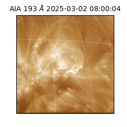 saia - 2025-03-02T08:00:04.843000