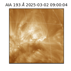 saia - 2025-03-02T09:00:04.843000