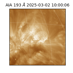 saia - 2025-03-02T10:00:06.454000