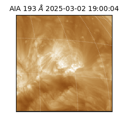 saia - 2025-03-02T19:00:04.843000