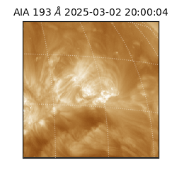 saia - 2025-03-02T20:00:04.843000