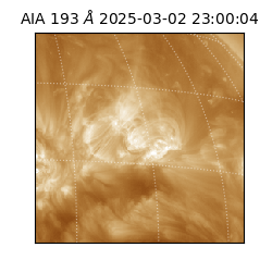 saia - 2025-03-02T23:00:04.835000