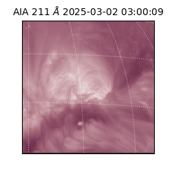 saia - 2025-03-02T03:00:09.630000