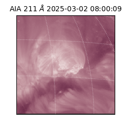 saia - 2025-03-02T08:00:09.632000