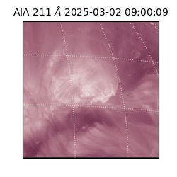 saia - 2025-03-02T09:00:09.634000