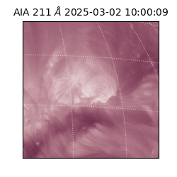 saia - 2025-03-02T10:00:09.633000