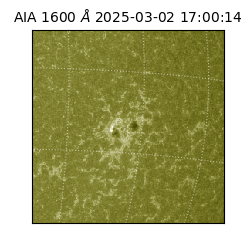 saia - 2025-03-02T17:00:14.126000