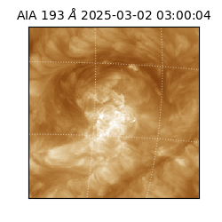 saia - 2025-03-02T03:00:04.843000