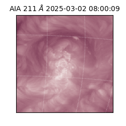 saia - 2025-03-02T08:00:09.632000