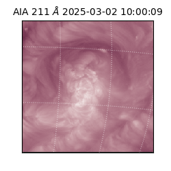 saia - 2025-03-02T10:00:09.633000