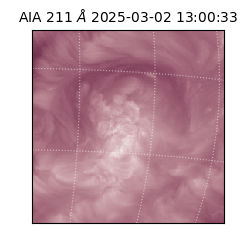 saia - 2025-03-02T13:00:33.630000