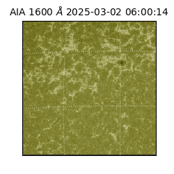 saia - 2025-03-02T06:00:14.125000