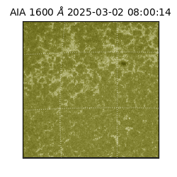 saia - 2025-03-02T08:00:14.129000