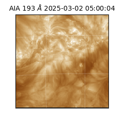 saia - 2025-03-02T05:00:04.843000