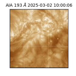 saia - 2025-03-02T10:00:06.454000