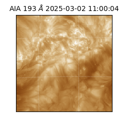 saia - 2025-03-02T11:00:04.843000