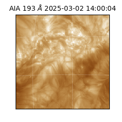 saia - 2025-03-02T14:00:04.843000