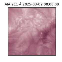 saia - 2025-03-02T08:00:09.632000