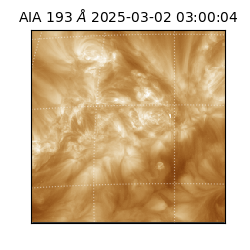 saia - 2025-03-02T03:00:04.843000