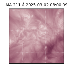 saia - 2025-03-02T08:00:09.632000