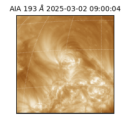saia - 2025-03-02T09:00:04.843000