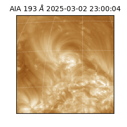saia - 2025-03-02T23:00:04.835000