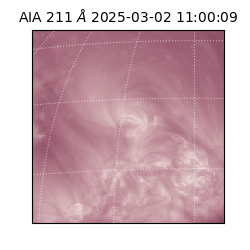 saia - 2025-03-02T11:00:09.632000