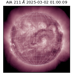 saia - 2025-03-02T01:00:09.626000