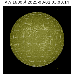 saia - 2025-03-02T03:00:14.126000