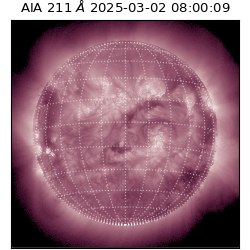 saia - 2025-03-02T08:00:09.632000