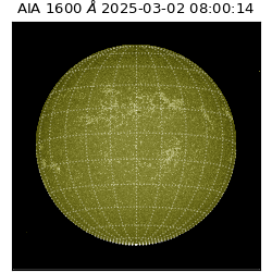 saia - 2025-03-02T08:00:14.129000