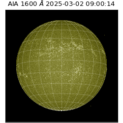 saia - 2025-03-02T09:00:14.126000