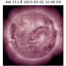 saia - 2025-03-02T10:00:09.633000