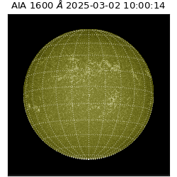 saia - 2025-03-02T10:00:14.125000