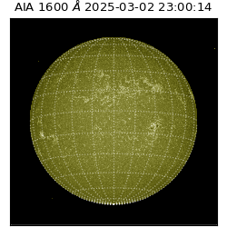 saia - 2025-03-02T23:00:14.125000