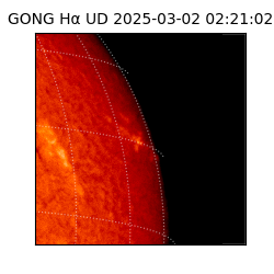 gong - 2025-03-02T02:21:02
